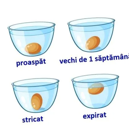 јадете јадете