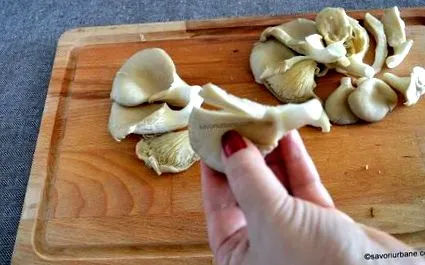 печурки печурки