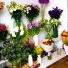 fleurs