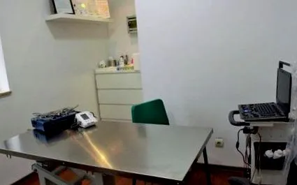 hivatal állatorvosi