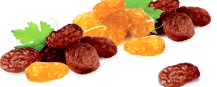 látás