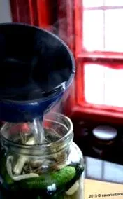 кисели