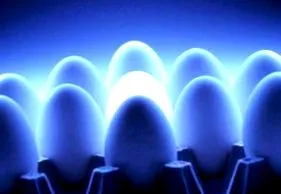 пилешки јајца