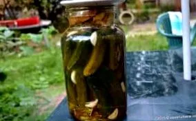 кисели