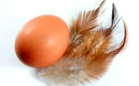hány
