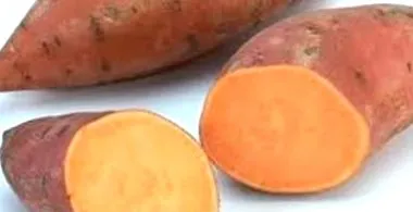 компир квалитети