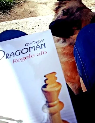книги Інтернеті
