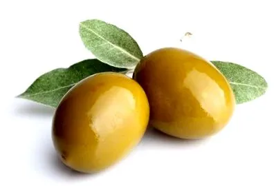 tipp zsíros