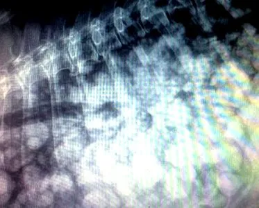 veterinárna