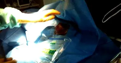 biovet