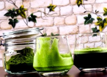 chlorella chlorella