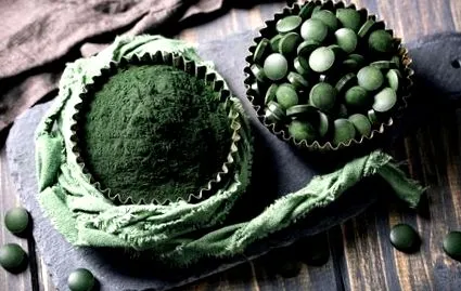 chlorella algák