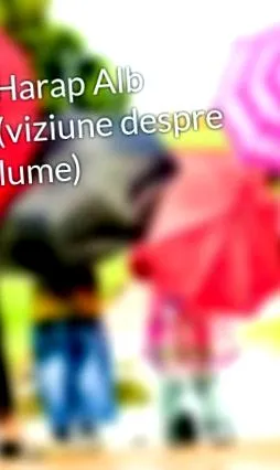 végezte érdekében