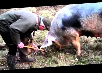 omáčka