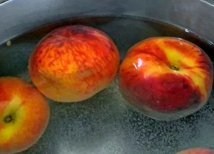 recept