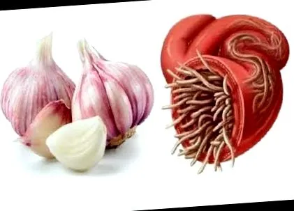 hogyan