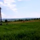 corabia