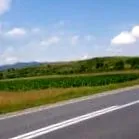 doripesco