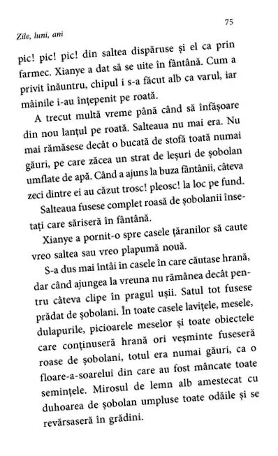 kiadó