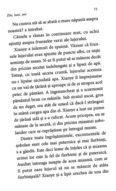 kiadó