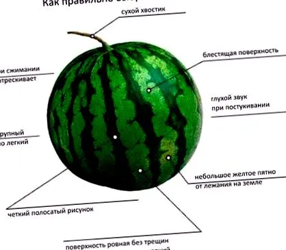 válasszunk válasszunk