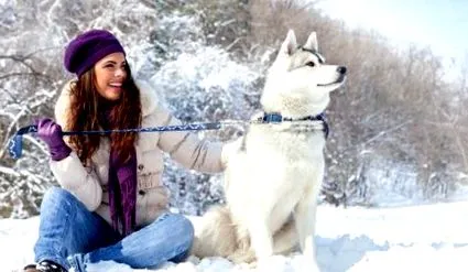 kalóriákat hogyan