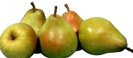 hogyan körtét