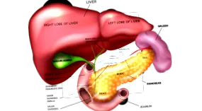 behealthy