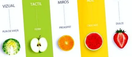 hogyan vizuális