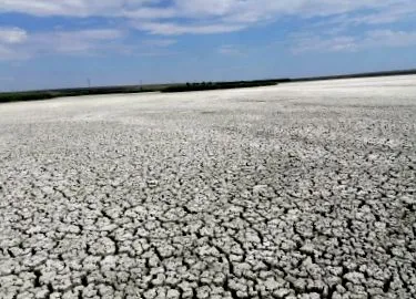 desolate