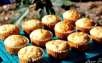 muffin