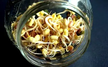 babcsíra