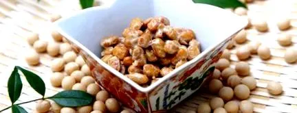 nattokináz nattokináz