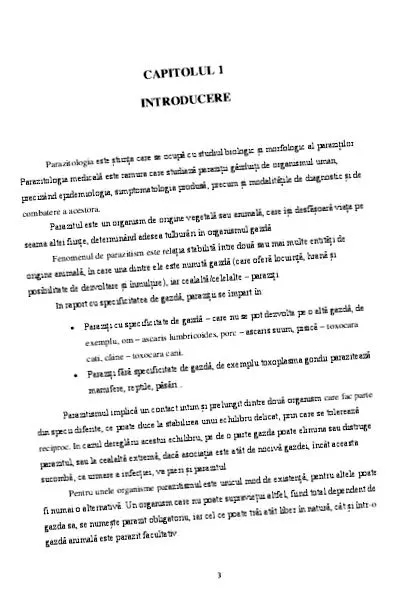 otthon testének