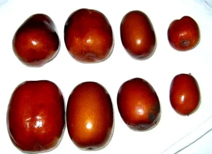 kínai olyan
