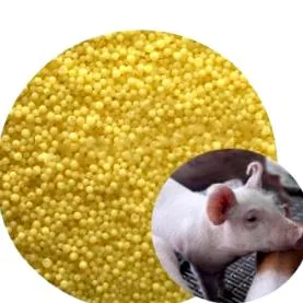 exudatív