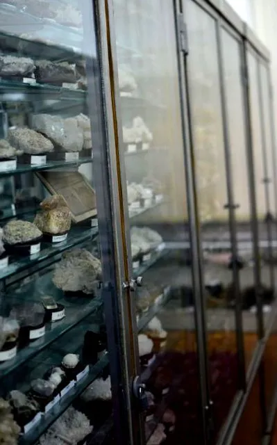 meteoritgyűjteményét
