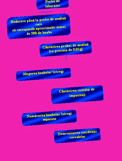 зрна апсолутната