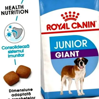 canin