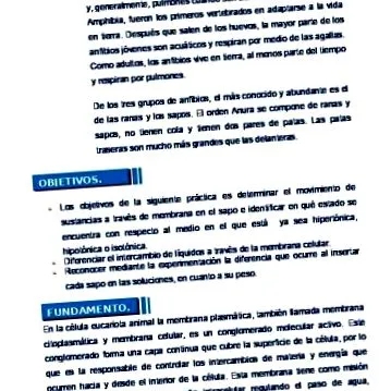 parazitákból