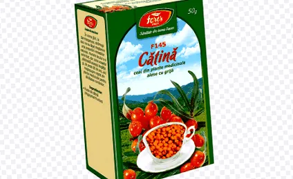 tajga