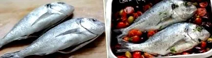 платика морска