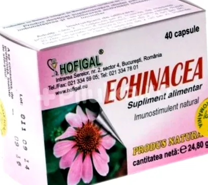 echinacea