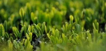 најсовремени најсовремени