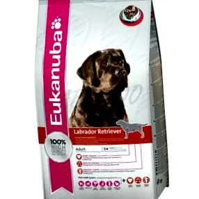retriever