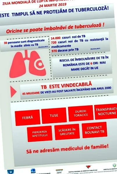 értékelés