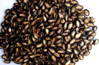 görögdinnye