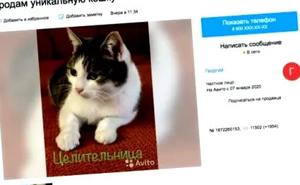 исцелувачка