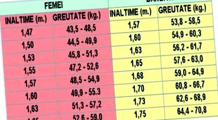 testtömeg-index