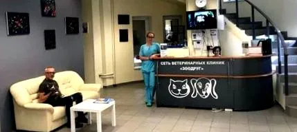 állatorvosi állatorvosi